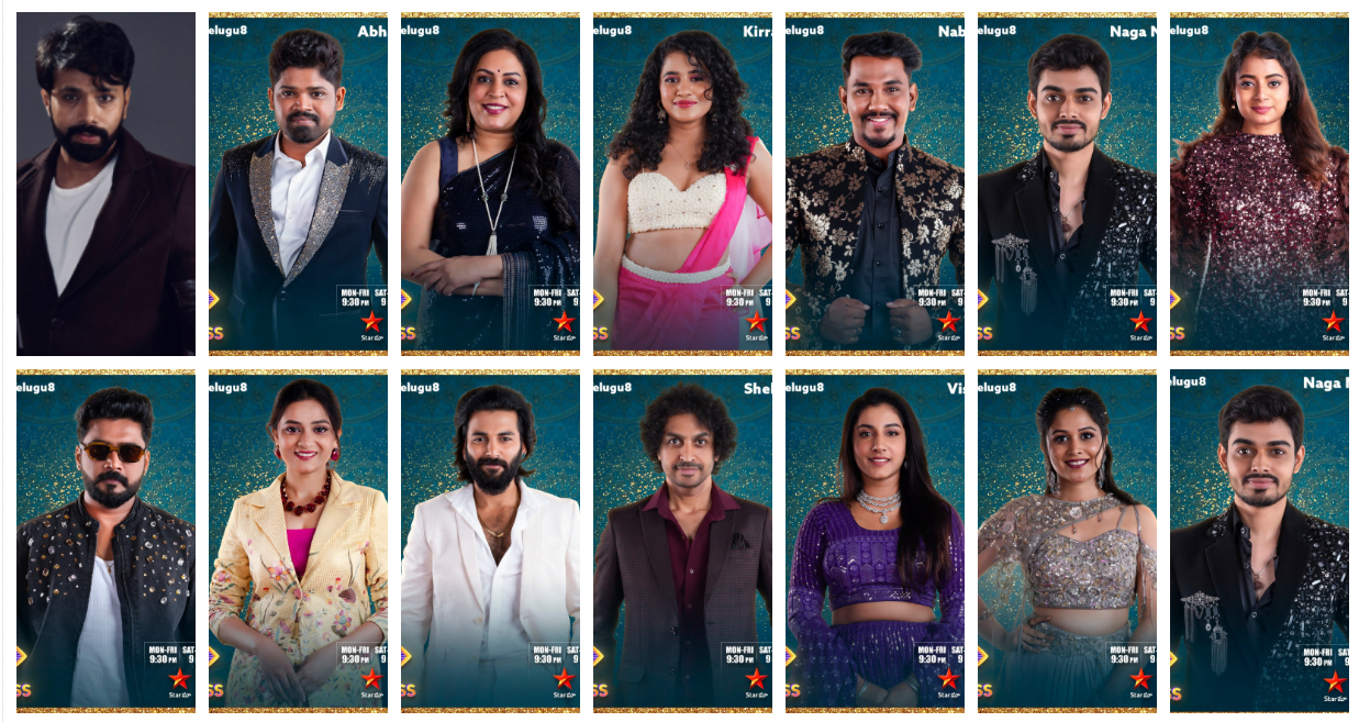 Bigg Boss 8 Telugu Contestants List 2024 Complete Details with Photos