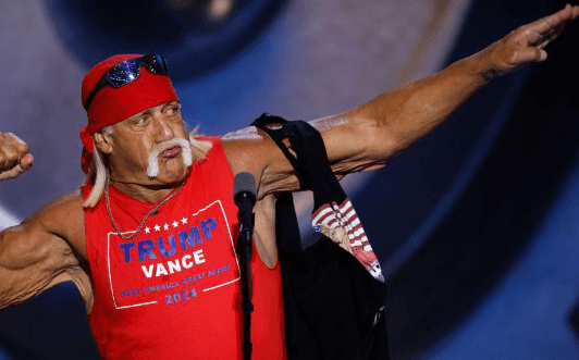 Hulk Hogan Net Worth